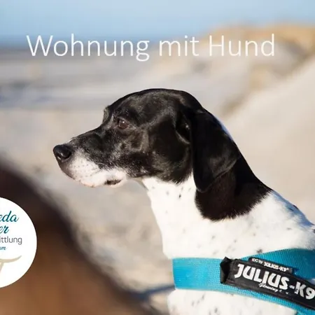 Daire Haus Jungnamen Whg. 11 Wittdün